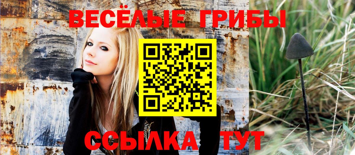 Псилоцибиновые грибы прущие грибы  Вход с VPN  дарнет шоп  Переславль-Залесский  Галлюциногенные грибы Psilocybe 