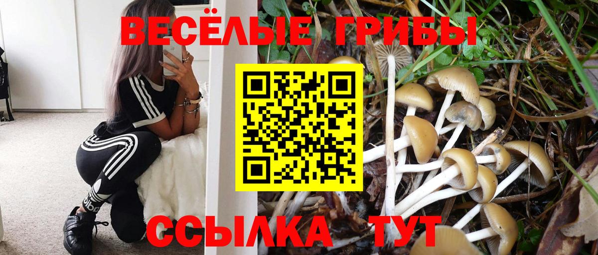 Псилоцибиновые грибы Cubensis Переславль-Залесский